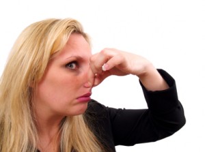 istock_000005473848xsmall